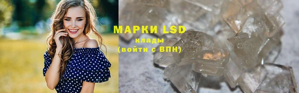 прущие грибы Богданович
