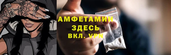 прущие грибы Богданович