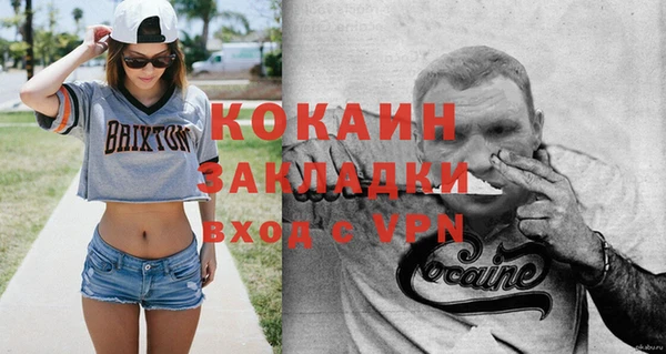 прущие грибы Богданович
