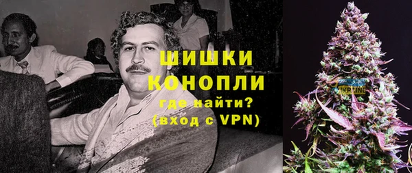 прущие грибы Богданович