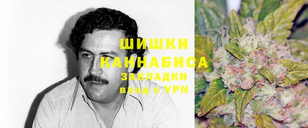прущие грибы Богданович