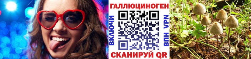 Галлюциногенные грибы Psilocybe  Мариинский Посад 