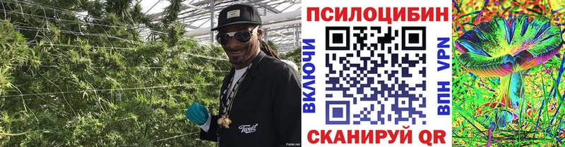 Галлюциногенные грибы мухоморы Мариинский Посад